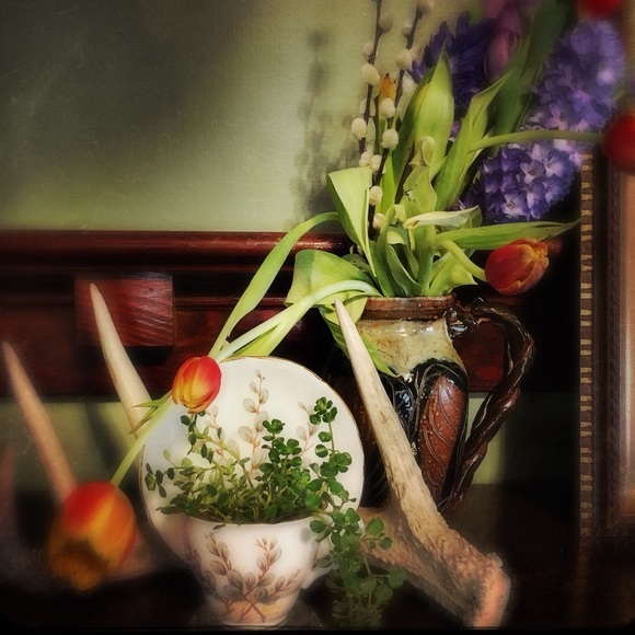 Meet your Posher, Coralie - Picture 2 of 2